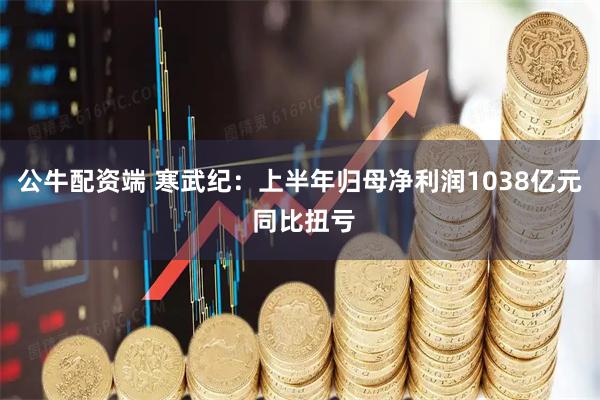 公牛配资端 寒武纪：上半年归母净利润1038亿元 同比扭亏